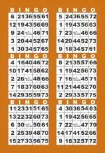 BK6VBBRN1  6ON V BROWN BORDER 1-9