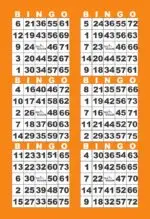 BK6VBO1  6ON V ORANGE BORDER 1-9