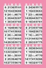 BK6VBPIN1  6ON V PINK BORDER 1-9