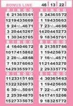 BKVBB-PIN1  6ON V PINK BONUS LINE 1-9