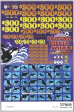 BP3564 - ALASKA KILLER WHALE ($1.00) BIG PIC PULLBOARD