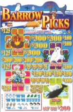 BP31146 - BARROW PICKS ($1.00) BIG PIC PULLBOARD