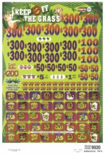 BP3491 - KEEP OFF THE GRASS ($1.00) BIG PIC PULLBOARD