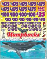 BP62643 - HUMPBACKS ($1.00) BIG PIC PULLBOARD