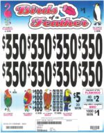 TP24934 - BIRDS OF A FEATHER ($1.00)