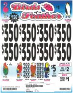 TP24934LS - BIRDS OF A FEATHER ($1.00) LAST SALE