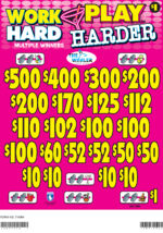 AN7140W - WORK HARD PLAY HARDER ($1.00)